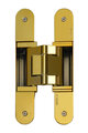 Kross8 K2810 OL | Скрытая петля для двери в цвете глянцевое золото